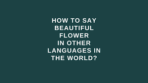 Therefore we can say that all language is a part of culture; How To Say Beautiful Flower In Other Languages In The World Live Sarkari