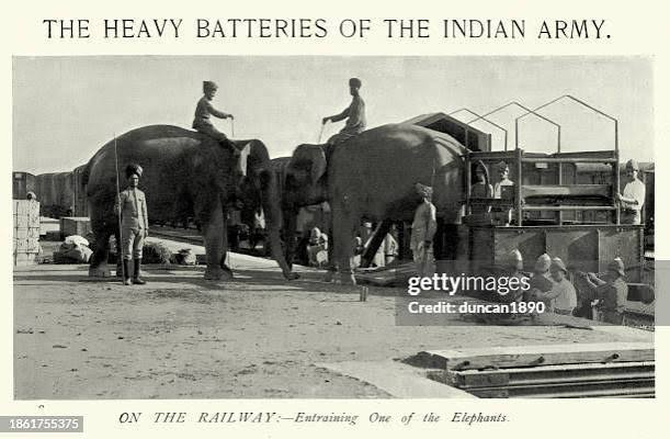 Elephants Of The British Indian Army Being Transported By Train Victorian Military History 1890s 19th Century High-Res Vector Graphic - Getty Images