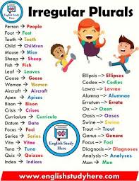 Irregular Plurals List In English Learn English Grammar Teaching English Grammar English Study