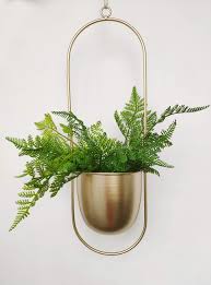 400 to 499pieces brand name: Riseon Boho Gold Metal Plant Hanger Metal Wall And Ceiling Hanging Planter Modern Planter Mid Century Flower Pot Plant Holder Minimalist Planter For Indoor Outdoor Home Decor Oval Shape Gold Buy Online In