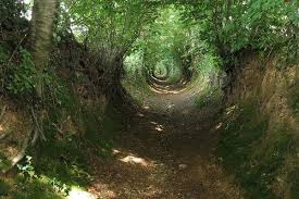 Holloways Roads Tunneled Into The Earth By Time Road Tree Tunnel Earth
