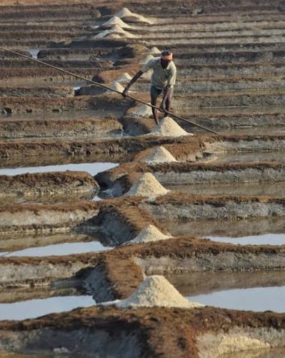Third-Generation Salt Maker Keeps Agarwada Tradition Alive #Agarwada #SaltMakersOfGoa #TraditionalSalt #GoaHeritage #ThirdGeneration #SaltPans #GoanTraditions #IndigenousLivelihoods #CoastalGoa #SustainablePractices #CulturalLegacy #RuralGoa