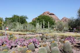 Schone Garten Bilder Sammeln Sie Inspiration Aus Aller Welt Schoner Garten Bilder Gartenbilder Garten