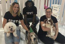 How much is doggy daycare per day. 10 Of The Best Dog Retreats In Dubai What S On Dubai