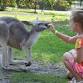 Books, Beasts, and Librarians Too!