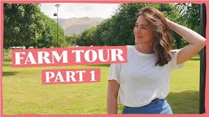 One of her best investments says bea alonzo is her farm in zambales. Let S Take A Tour Of Dona Bea Alonzo S Huge Country Farm Ao All Out