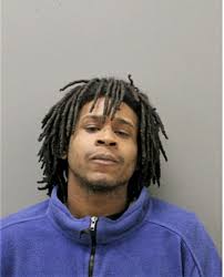 ᐅ Illinois Criminal Records 2009-2026