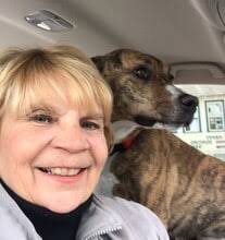 Chilcoot, CA Real Estate Agents