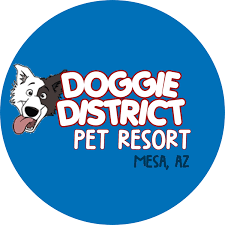 Family vetcare opened its doors in 1982 in mesa, arizona. 1st Pet Veterinary Centers Home Facebook