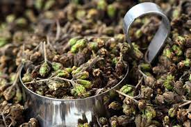 Te De Oregano En El Embarazo Es Recomendable O No