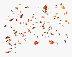 Black stars are falling down. Autumn Color Leaves Leaf Maple Free Hd Image Clipart Png Leaves Fall Gif Transparent Png Transparent Png Image Pngitem