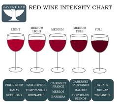 red wine intensity chart in 2019 wine tasting party red