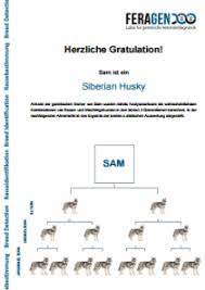 Von epilepsie über hüftgelenksdysplasie bis hin zu morbus addison gibt es eine vielzahl an erkrankungen, von denen hunde betroffen sein können. Dna Test Hund Rassebestimmung Ihres Hundes Dank Dna