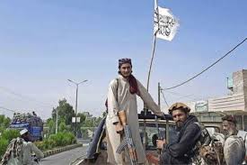 🏘️gempol pasuruan watch the latest video from kaboel farm (@kaboelfarm). Ubkcf1qdkeegzm