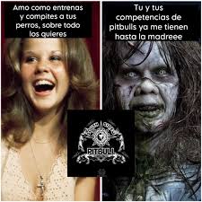 South side pitbull club added a...