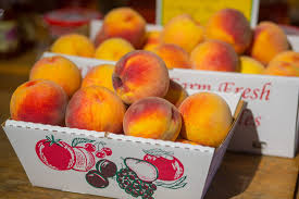 In general, excepting the coldest climates (see cold climates below), for best using this model, if a fruit tree were observed to bloom and fruit satisfactorily after winters of 600 or more chill hours, but inconsistently after. Chill Hours Requirements And Fruit Trees For Texas