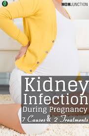 Kidney Infection During Pregnancy Causes Treatment And Preventive Measures A Z About Herbal Medicine And Home Remedies Kidney Infection Kidney Inf