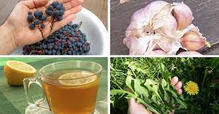 Pin On Natural Health