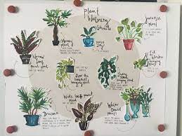 50 Times People Found Some Truly Perfect Handwriting Examples That Were Too Good Not To Share Flower Pot Design Plants Plant Journal
