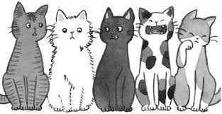 Black And White Cat Drawing Simple Image Result For Cat Drawing Cat Drawing Simple Cat Drawing Cat Drawing Tumblr