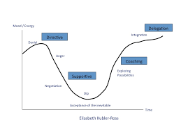 The Itsm Grieving Process Pink Elephant Blog