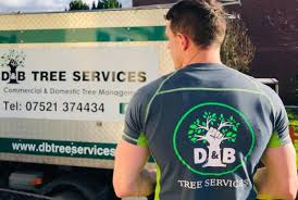 Find tree service near you by using your better business bureau directory. Tree Surgeons Chepstow Residential And Commercial Tree Services