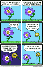 Dandelion Don T Play Dark Sense Of Humor Funny Comics Funny Comic Strips
