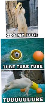 17 Best Wednesday Funny Images Http Ibeebz Com Animal Jokes Funny Animals Funny Animal Memes