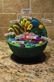 Reed S 7th Grade Advanced Science Animal Cell Project 3d More Hucre Modeli Bitki Hucresi Bitki Hucre Modeli