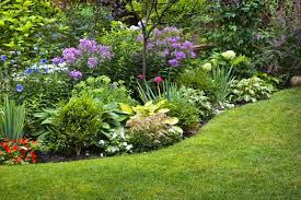 Check spelling or type a new query. Top 10 Perennials For Ottawa Upfront Ottawa