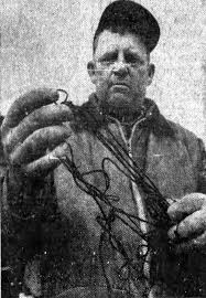 Image result for White 1971 Fleet