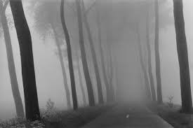Harry Gruyaert Belgium Near Bruges 1975 Available For Sale Artsy Belgium Contemporary Photography Abandoned Film