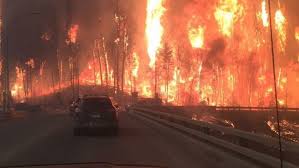 Image result for FOREST FIRES ESL LISTENING