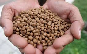 Food to live is the leading provider of healthy snack food online. Betta Fish Foods Live Dry And Frozen Zenaquaria