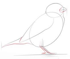 Vogel Spatz Zeichnen Lernen Schritt Fur Schritt Tutorial Zeichnen Leicht Gemacht