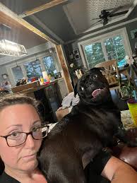When you have a pug, there is no personal space