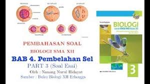 Xiipa soal biologi kelas : Kunci Jawaban Biologi Xii Irnaningtias Bab 4 Pembelahan Sel Soal Esai Youtube
