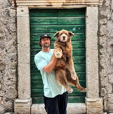 Cocoa The Tour Dog Fan Club