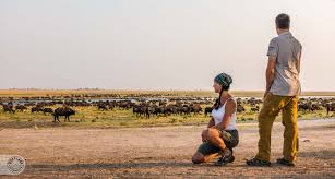 Viele urlauber reisen nach namibia, um dort wildtiersafari zu betreiben. 7 Reiseblogger Verraten Ihre Tipps Zu Namibia Und Botswana