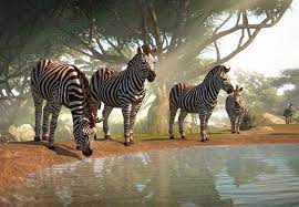 Plains zebra the plains zebra is the most common zebra type. Plains Zebra Planet Zoo Wiki Fandom