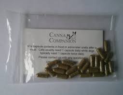 A review of canna companion. Medical Marijuana For Dogs Hype Or Legit Dogtime