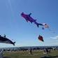 Newport Kite Festival
