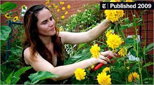 Growing Cottage Flowers In In Gowanus The New York Times
