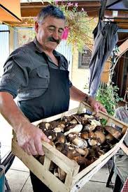 Le dimanche 19 mai, dès 09h, de nombreux professionnels vous proposeront plants, fleurs, arbustes et rosiers pour agrémenter votre jardin et décorer votre maison. 41 Dordogne Food Discoveries Ideas Dordogne Foie Gras Walnuts