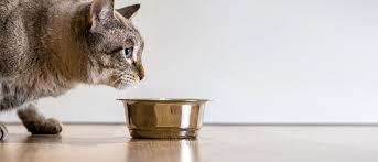 Therapeutic brands of food for cats with calcium oxalate stones include purina ur st/ox, hills c/d multicare, hills w/d, royal canin s/o and iams eukanuba moderate ph/o. How Your Cat S Diet Affects Its Urinary Health Royal