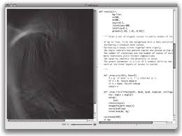 Vismantic Meaning Making With Images Script Being Used Visual
