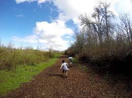 There were places to bird watch, so for some this may be a 5. Jackson Bottom Wetlands Preserve Happy Running Mom