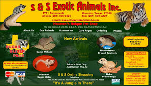 Maybe you would like to learn more about one of these? S S Exotics Pet Store Houston Texas Catching Marbles
