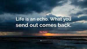 What you sow, you reap. Zig Ziglar Quote Life Is An Echo What You Send Out Comes Back
