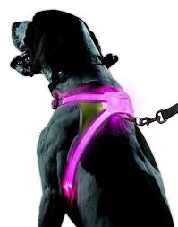 Noxgear Lighthound Revolutionary Illuminated And Reflective Harness For Dogs Including Multicolore Reflective Dog Harness Dog Harness Best Dog Gifts